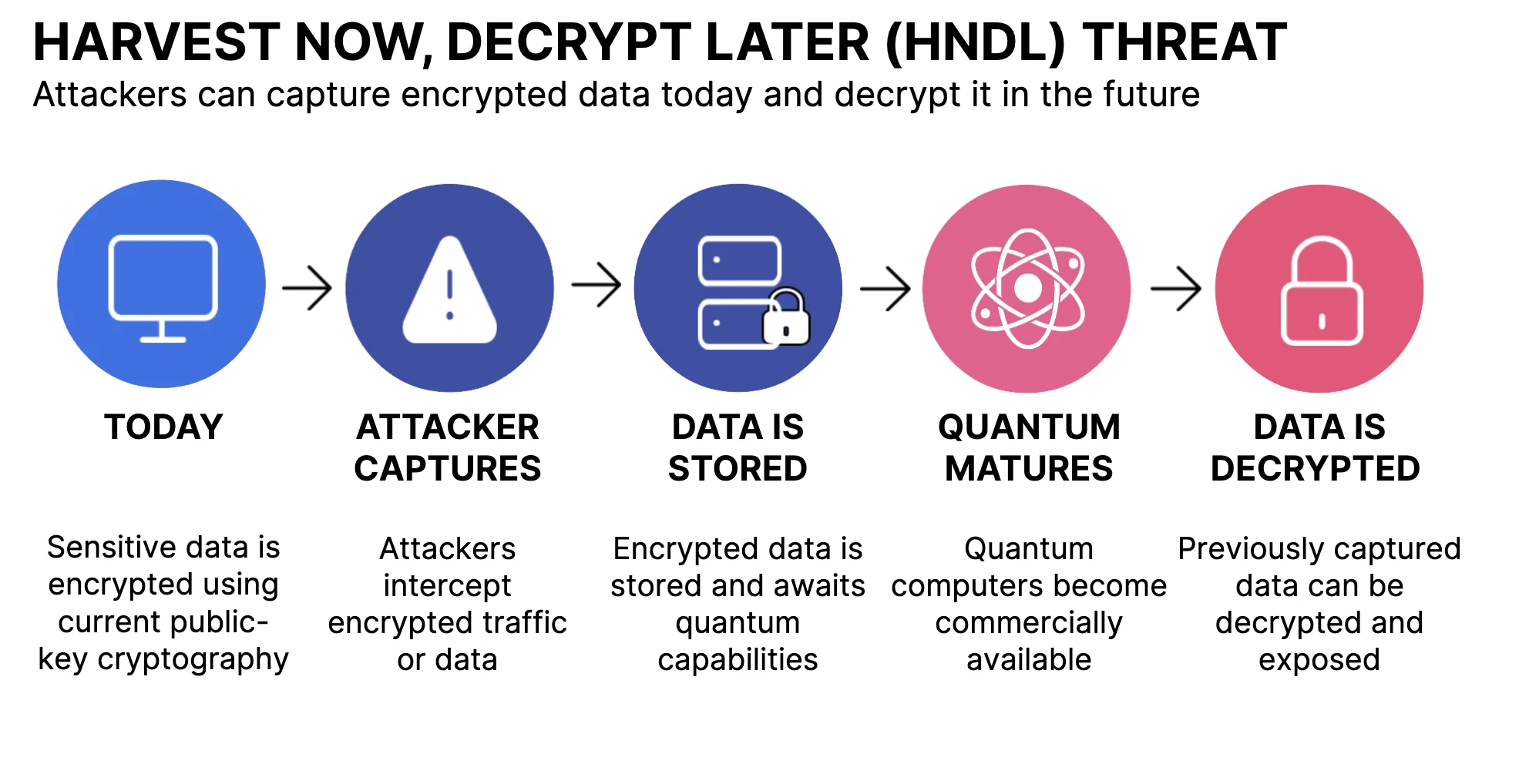 Navigating the Transition to Post-Quantum Cryptography: Strategies and Tools